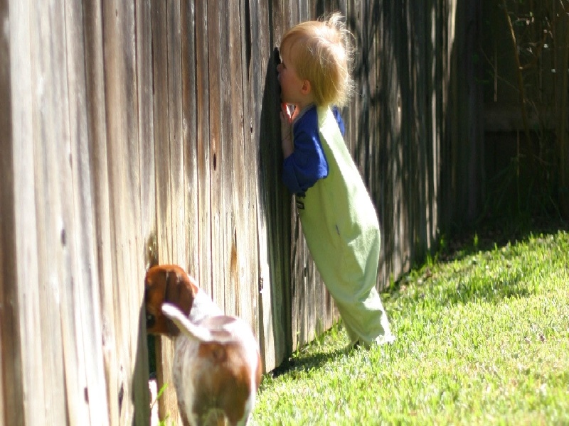 <strong>试管塞药孕酮多少（怎么买国外试管）</strong>